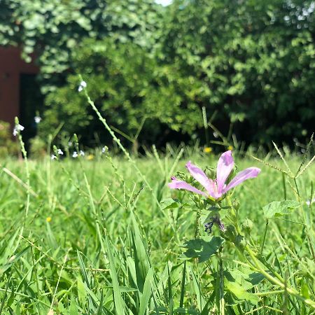 Apartmani Pavicevic Podgorica Eksteriør bilde